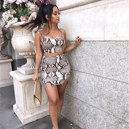 Snake Print Skirt Set