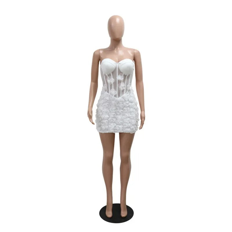 Rosa Dress